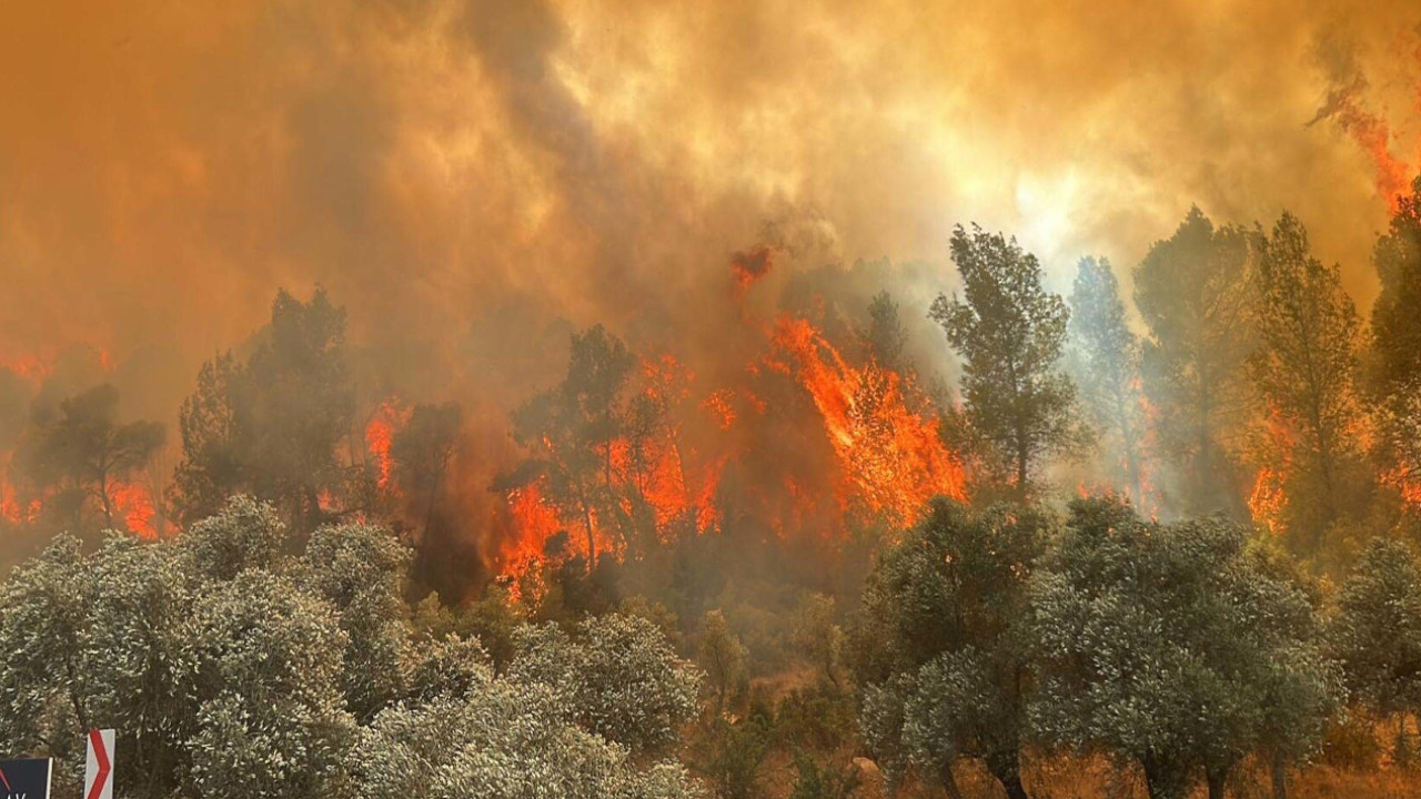 Muğla’da çıkan orman yangınlarının yarısından fazlası insan kaynaklı