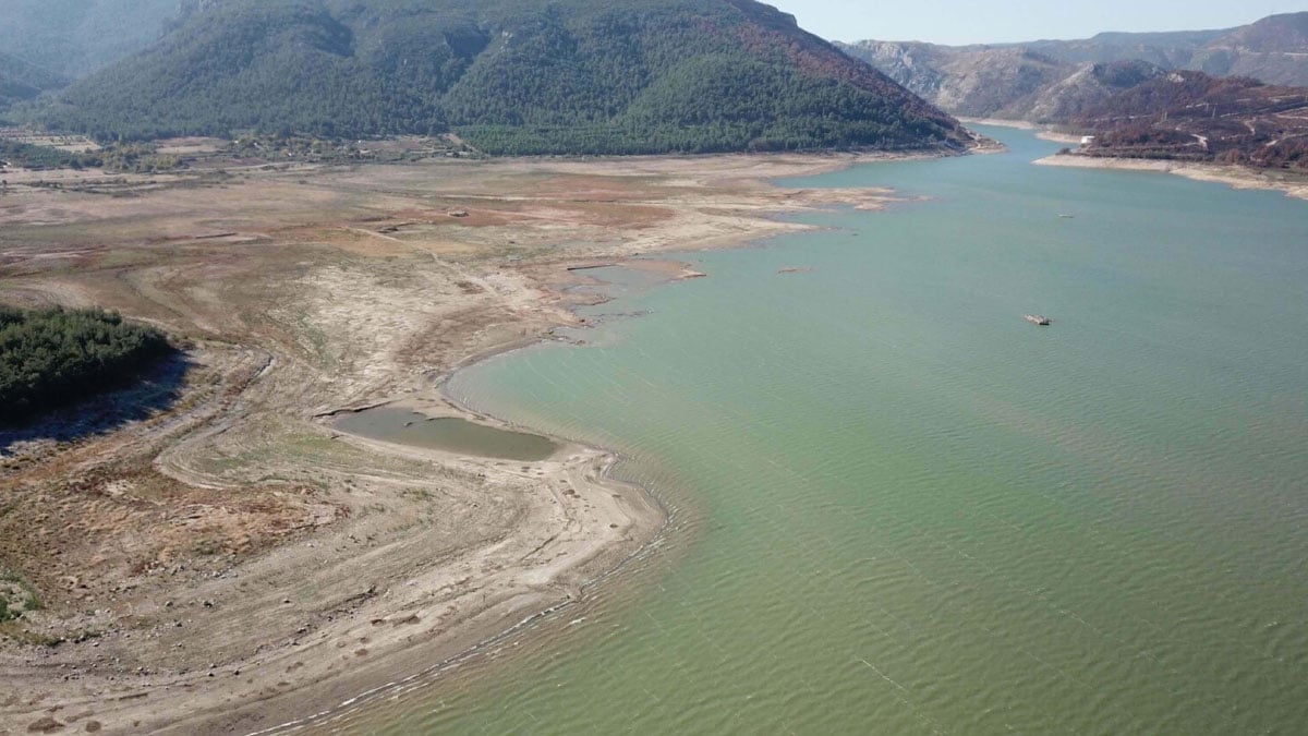 tedirgin eden aciklama ithal etmek zorunda kalabiliriz qZZcl9HN