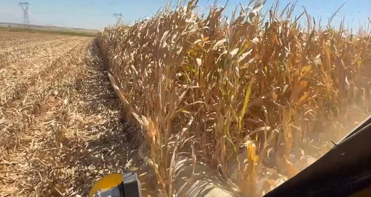 ureticiden erdogana biz bu ulkenin uvey evladi degiliz Skz3adlJ