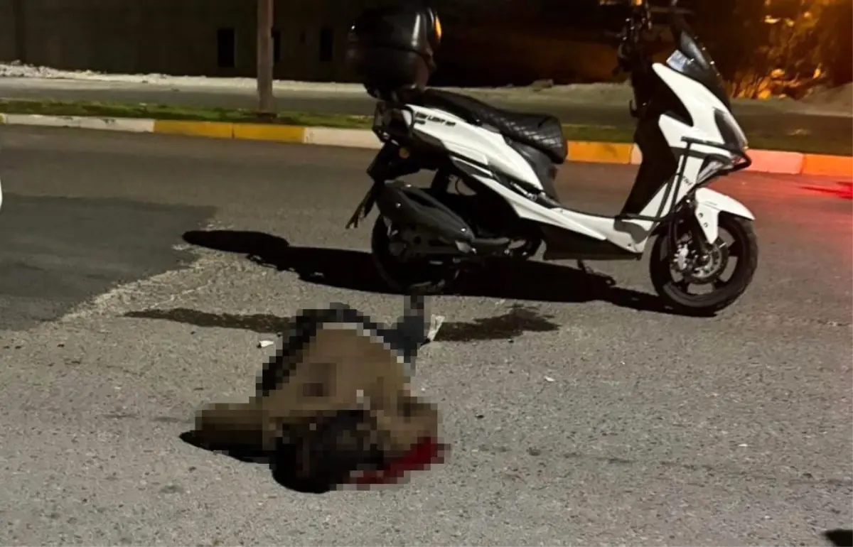 bicakli saldiri sanliurfada genc hayatini kaybetti R8pDfkTL