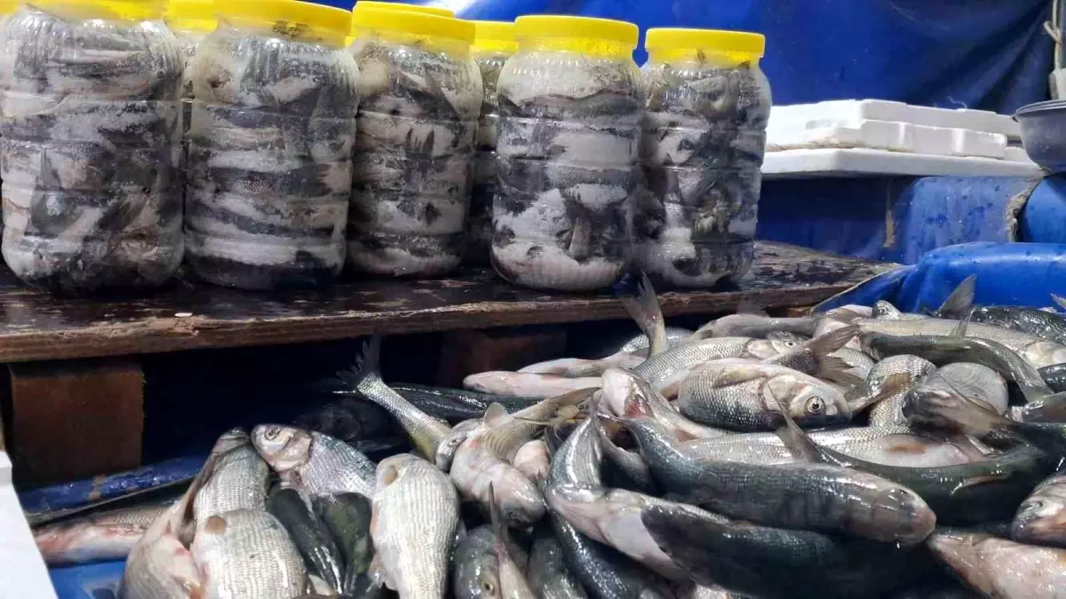 inci kefali tezgahlarda rWlWyCgH.jpg