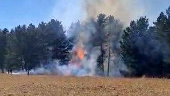 sarikamista orman yangini PbyMBSE8.jpg