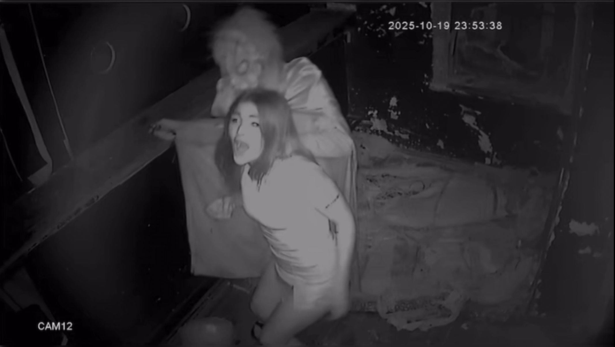 Mühürlenen korku evi işletmesi