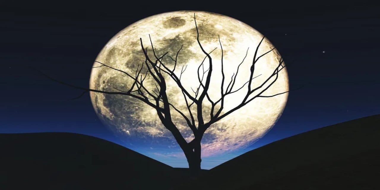 5 kasimda boga burcundaki dolunay neler geliyor neler gidiyor cPP6zHYV.jpg