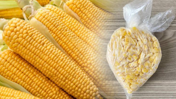 misiri catalla siyir hasla dondurucuya at 12 ay tazecik kaliyor tjpBGi4W.jpg