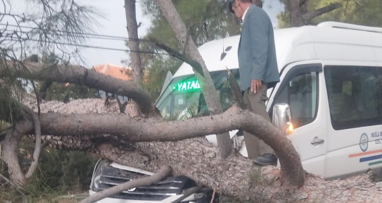 Seyir halindeki dolmuşun üzerine dev ağaç devrildi