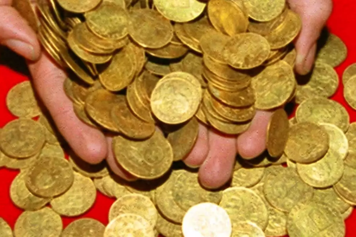 yuzme havuzu kazarken hayati degisti bir kurek darbesiyle servet buldu Edrdnqeb.jpg